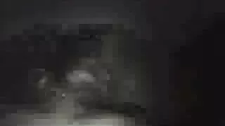 پتلی پگٹیلڈ نوعمر ہیم میری ایک بڑے ڈک کو بہت زیادہ چاہتا ہے۔