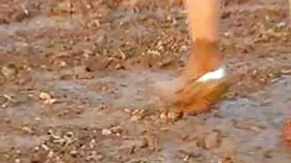 خوبصورت brunette Sybil کتے سٹائل پوز میں fucked ہو جاتا ہے